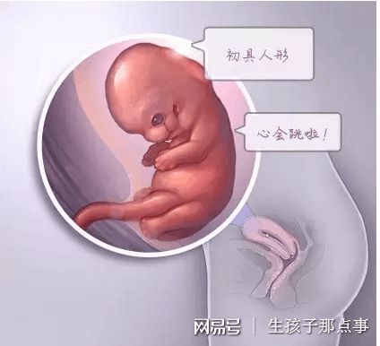 男性不妊